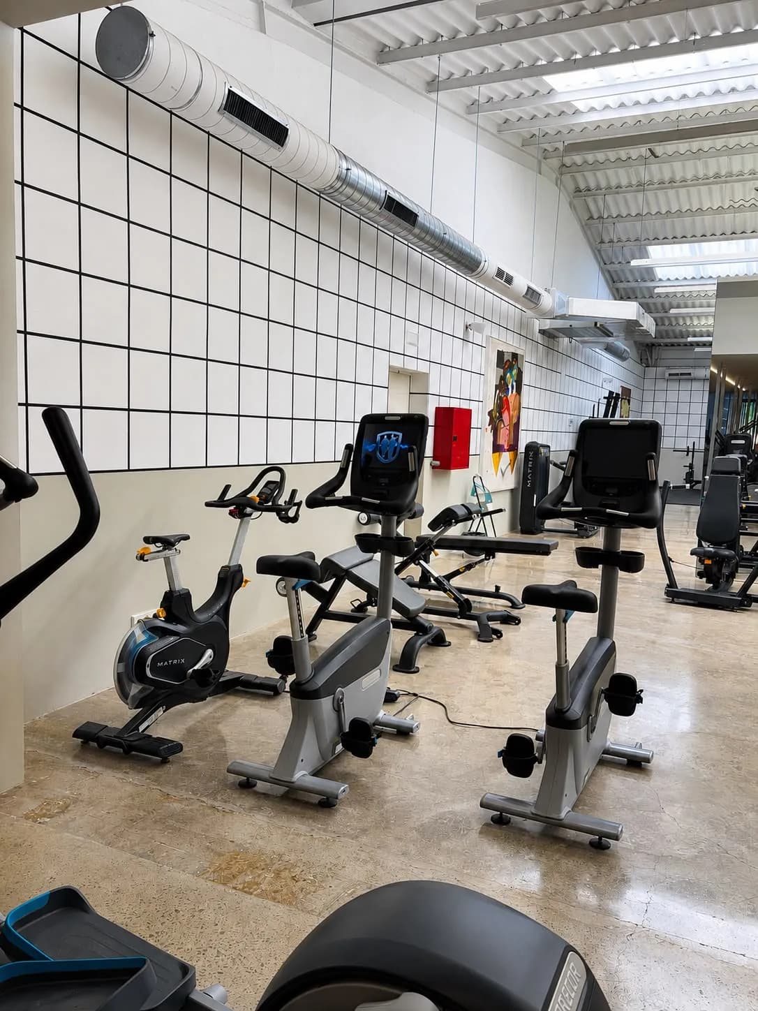 Equipamiento de cardio de última generación en Premier Gym S'Escorxador