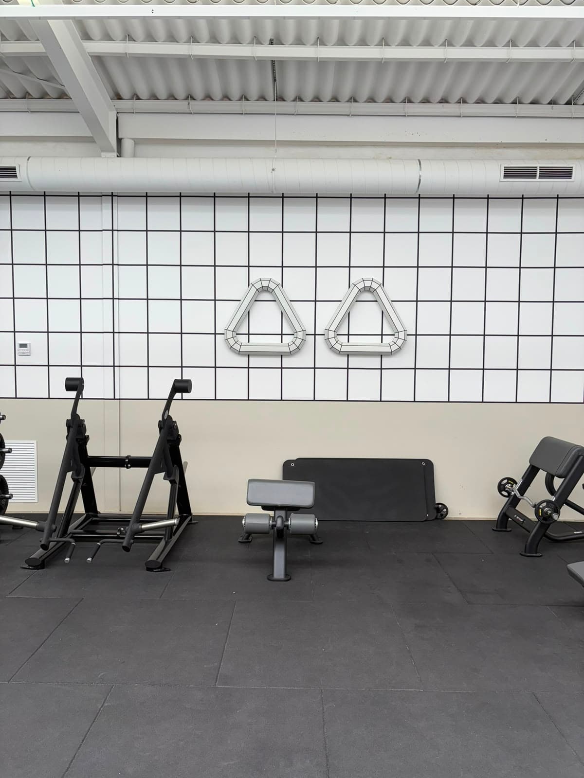 Zona de peso libre de Premier Gym S'Escorxador, gimnasio premium en el centro de Palma de Mallorca