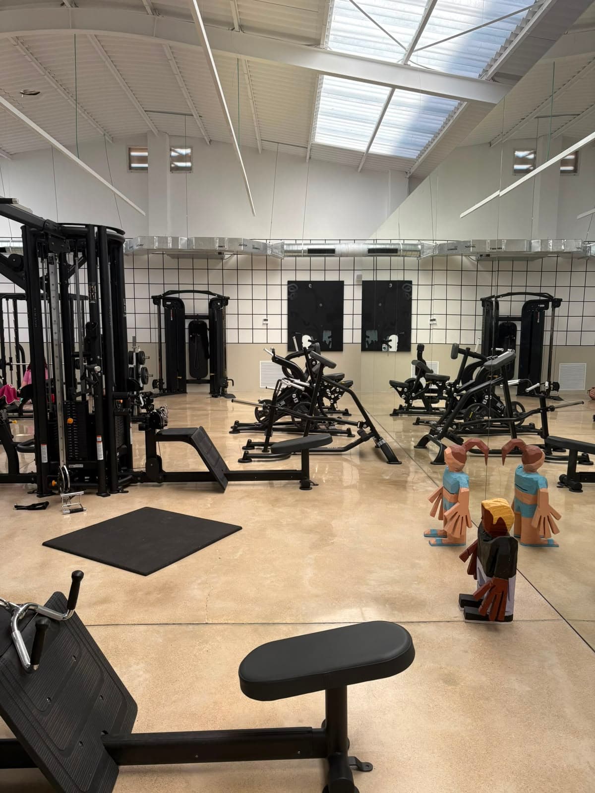 Máquinas de discos y placas en Premier Gym S'Escorxador, Palma de Mallorca