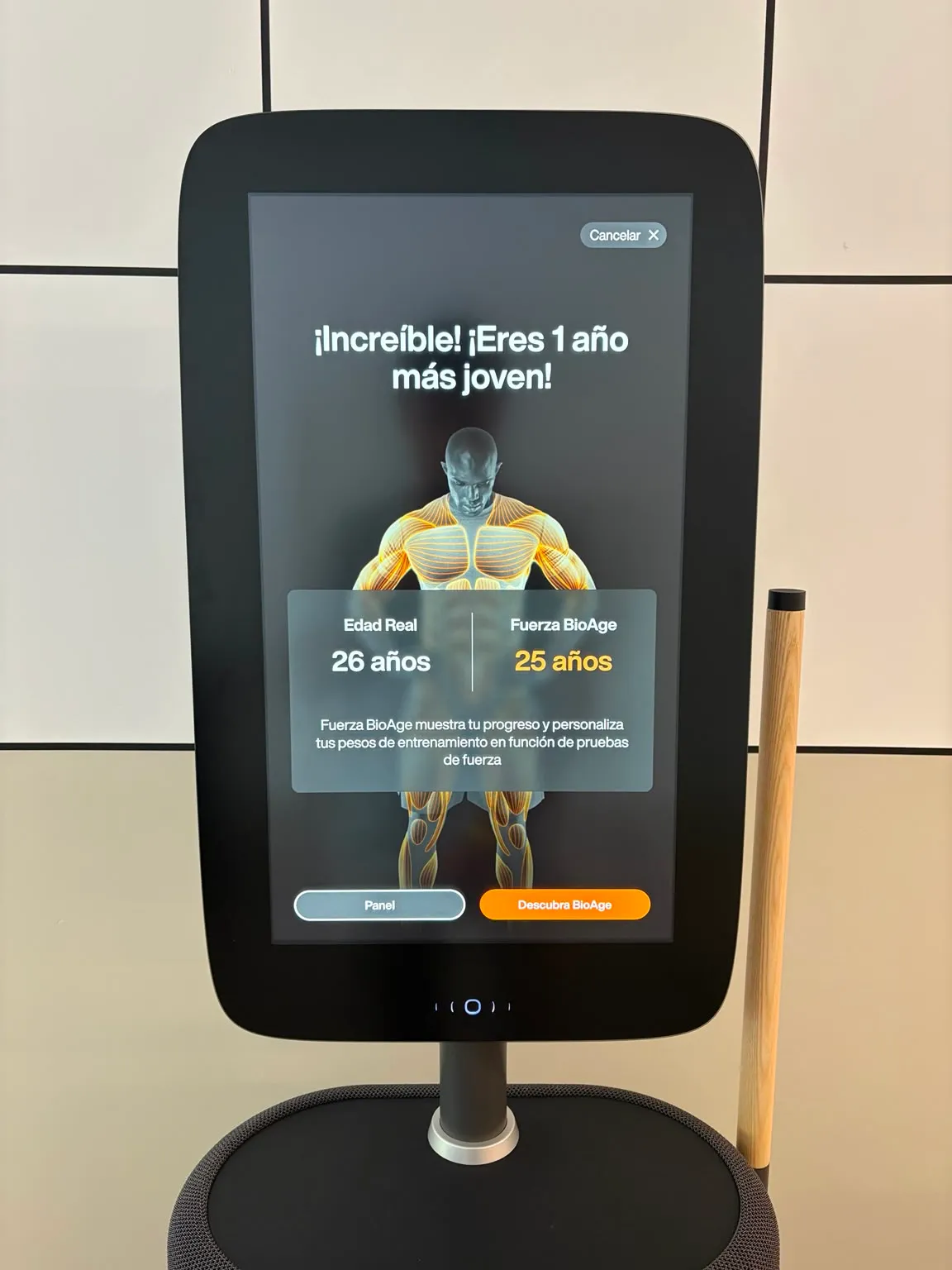 Análisis corporal InBody en la zona EGYM de Premier Gym S'Escorxador