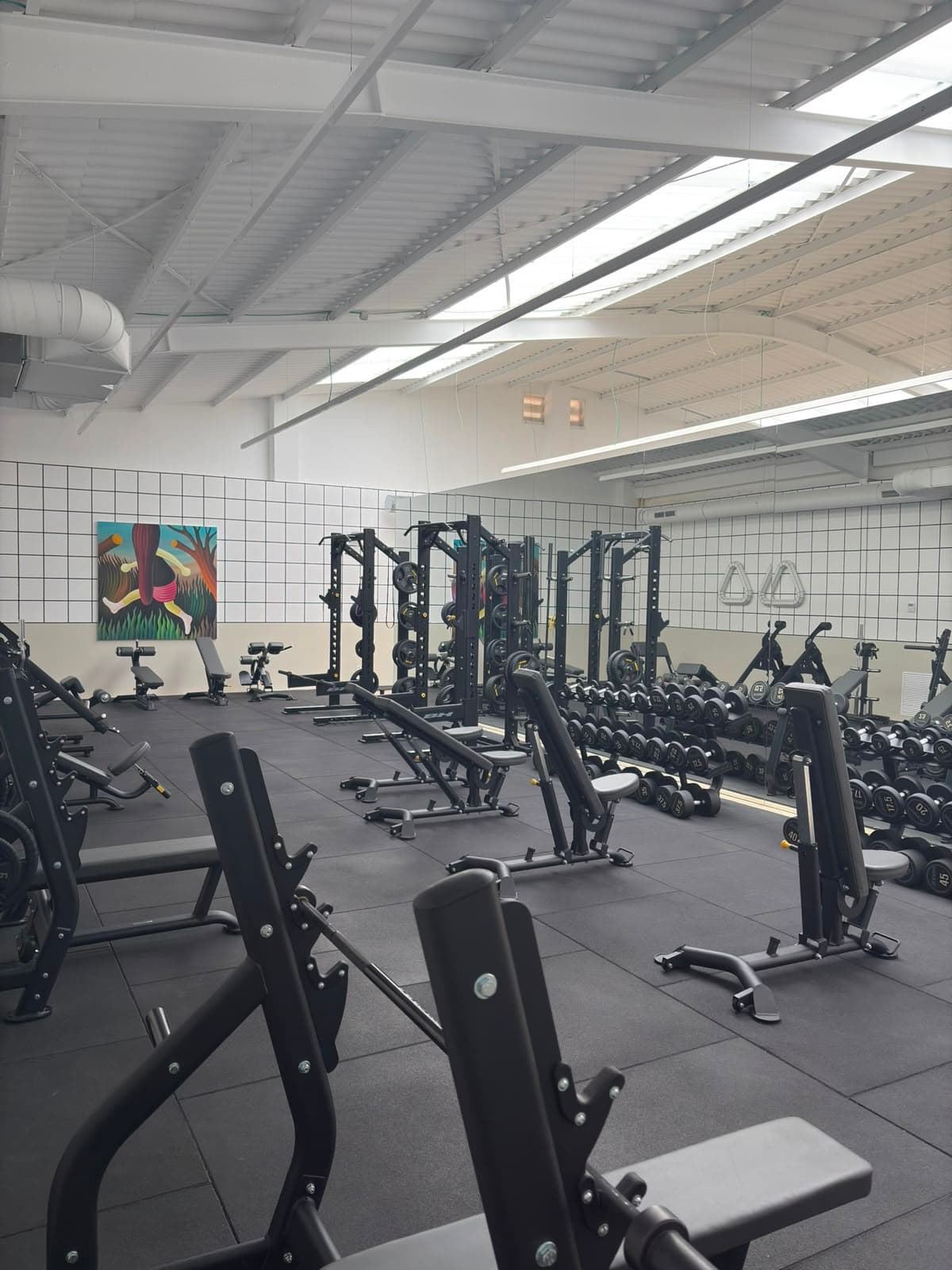 Zona de peso libre de Premier Gym S'Escorxador, gimnasio premium en el centro de Palma de Mallorca