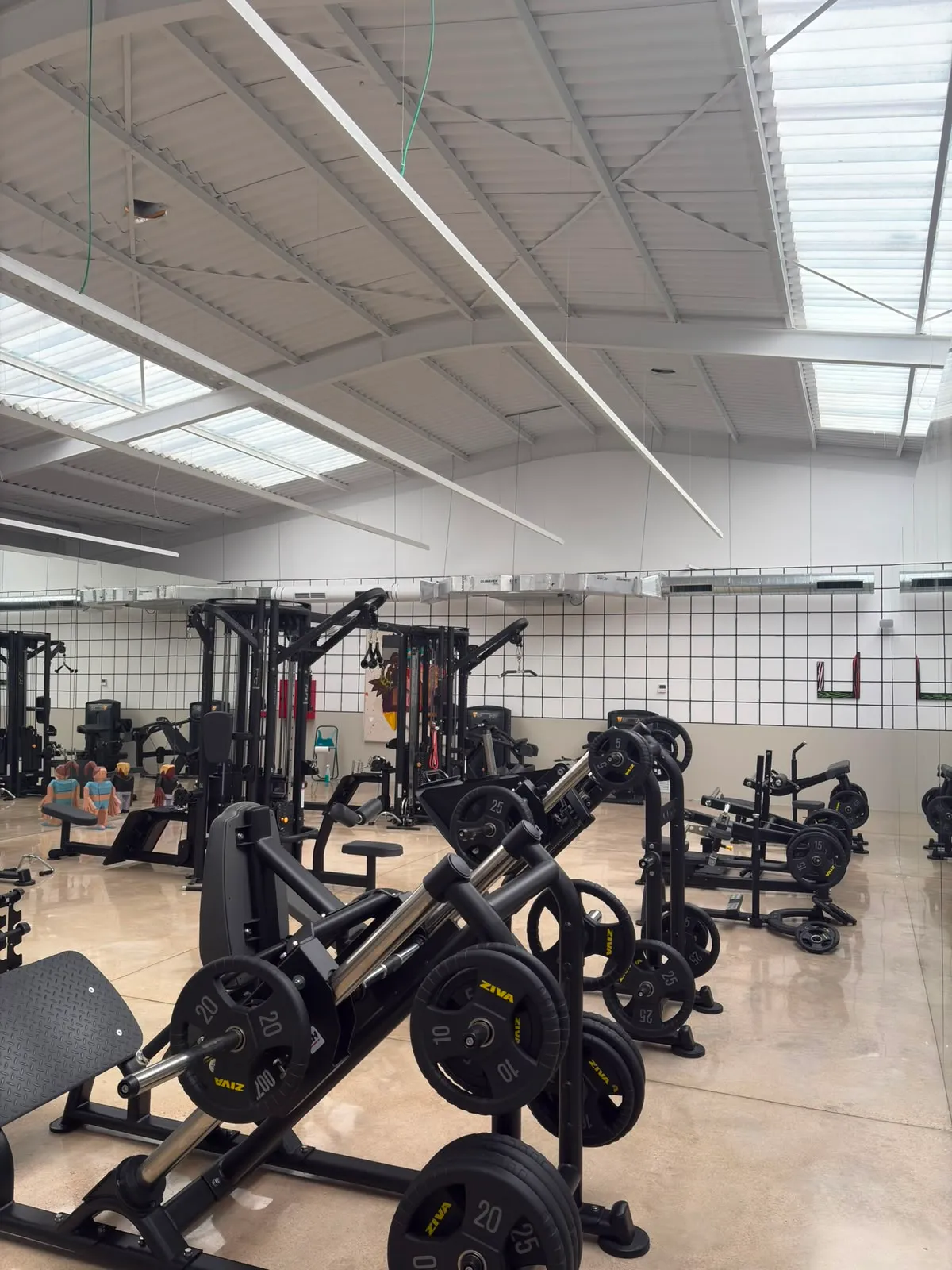Máquinas de discos y prensa de piernas en Premier Gym S'Escorxador