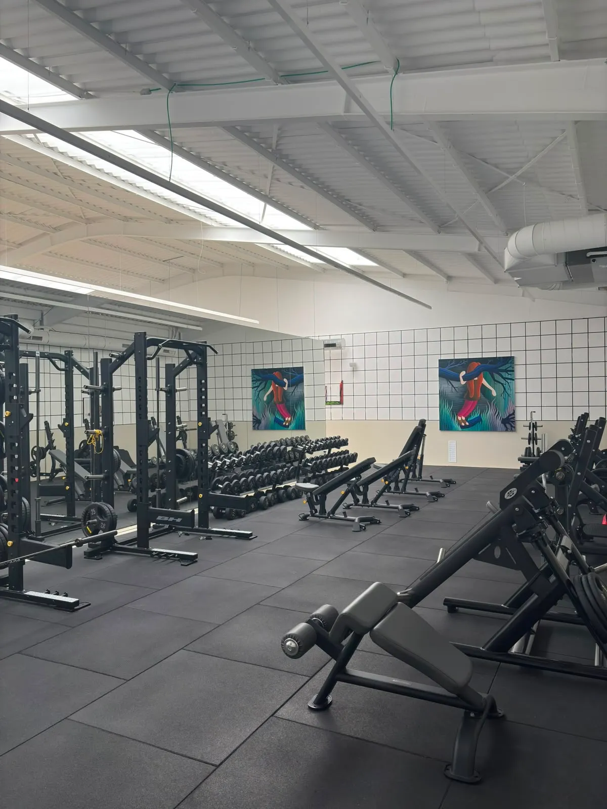 Sala de peso libre con racks, mancuernas y bancos en Premier Gym S'Escorxador