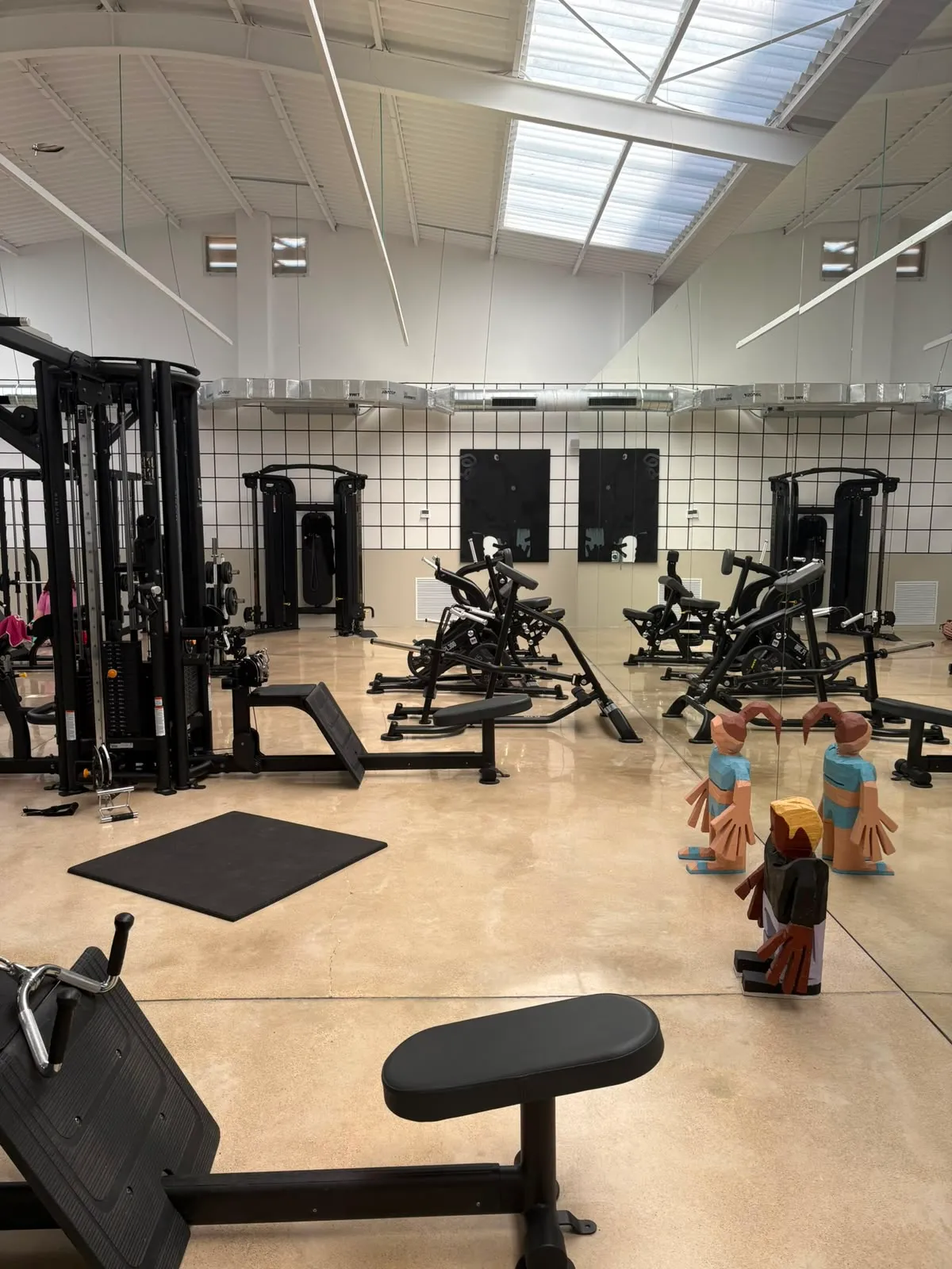 Torres de poleas, bancos y máquinas de fuerza en Premier Gym S'Escorxador