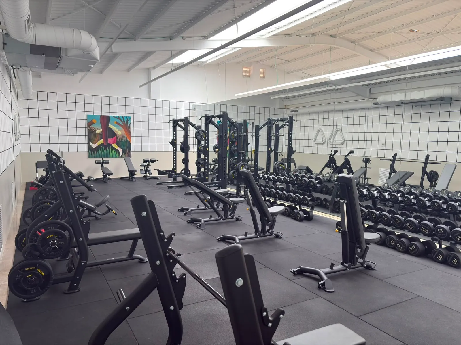 Zona de peso libre con racks y juego completo de mancuernas en Premier Gym S'Escorxador